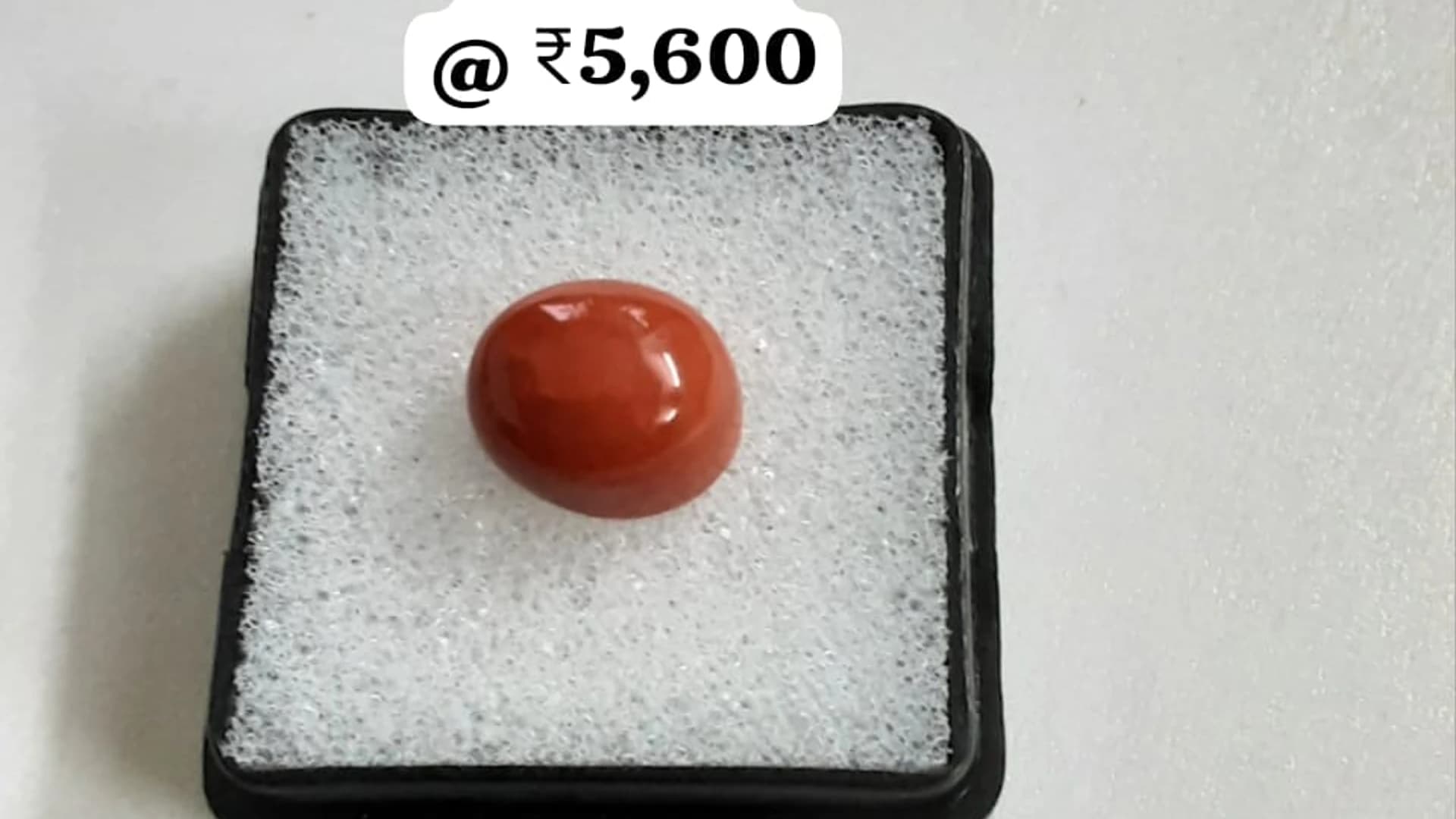 Imperial Italian Moonga — substantial 4.5 ct oval red coral
